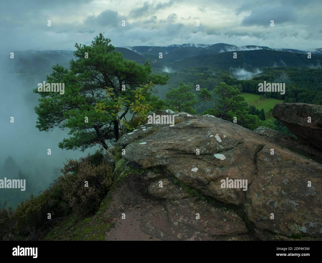 Geographie / Reisen, Deutschland, Rheinland-Pfalz, Landschaften, Waldlandschaft am Heidenberg, Additional-Rights-Clearance-Info-not-available Stockfoto
