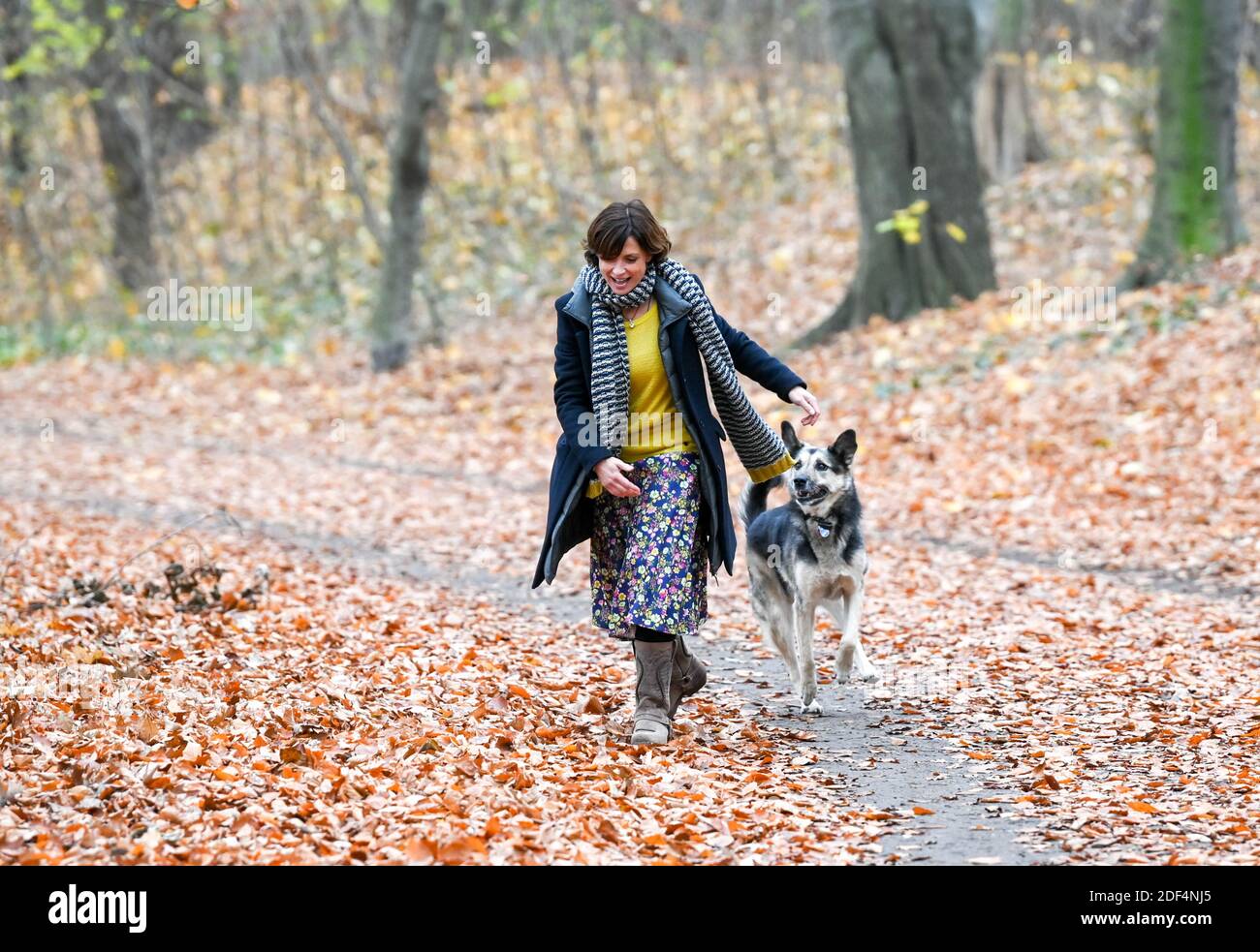 Berlin, Deutschland. November 2020. Die Schauspielerin Julia Brendler bei  einem Spaziergang mit ihrem Hund Istak im Park Schönholzer Heide in  Niederschönhausen spielt sie die Hauptrolle in dem Film der ZDF-Serie  "Katie Fforde: