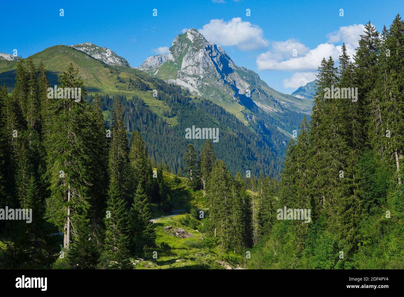 Geographie / Reisen, Schweiz, Glarner Alpen am Pragelpass, Additional-Rights-Clearance-Info-not-available Stockfoto