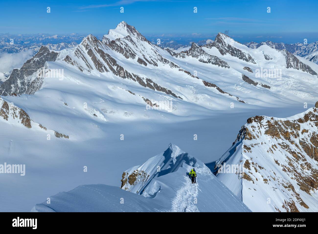 Geographie / Reisen, Schweiz, Bern, Grindelwald, Bergsteiger auf dem Mönch (4107m) schlanker Gipfel r, Additional-Rights-Clearance-Info-not-available Stockfoto