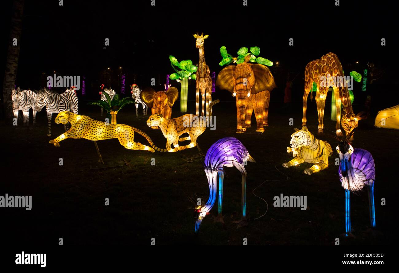 Tallinn, Harjumaa- Estland-21DEC2019: Das Wanderfestival des Lichts in der Gegend von Tallinn Lauluväljak im Winter 2019. Viele Seide Skulpturen beleuchtet. Stockfoto