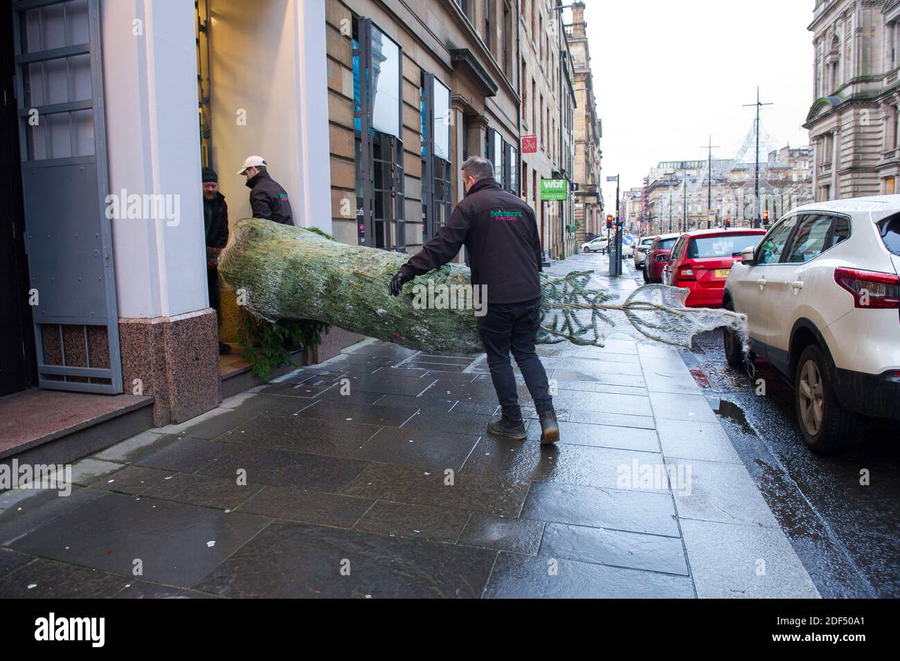 Glasgow, Schottland, Großbritannien. Dezember 2020. Im Bild: Mitarbeiter der festlichen Firma Fleurtations liefern einen echten Weihnachtsbaum aus ihrem Van ins Italienische Zentrum in Glasgow. Quelle: Colin Fisher/Alamy Live News Stockfoto