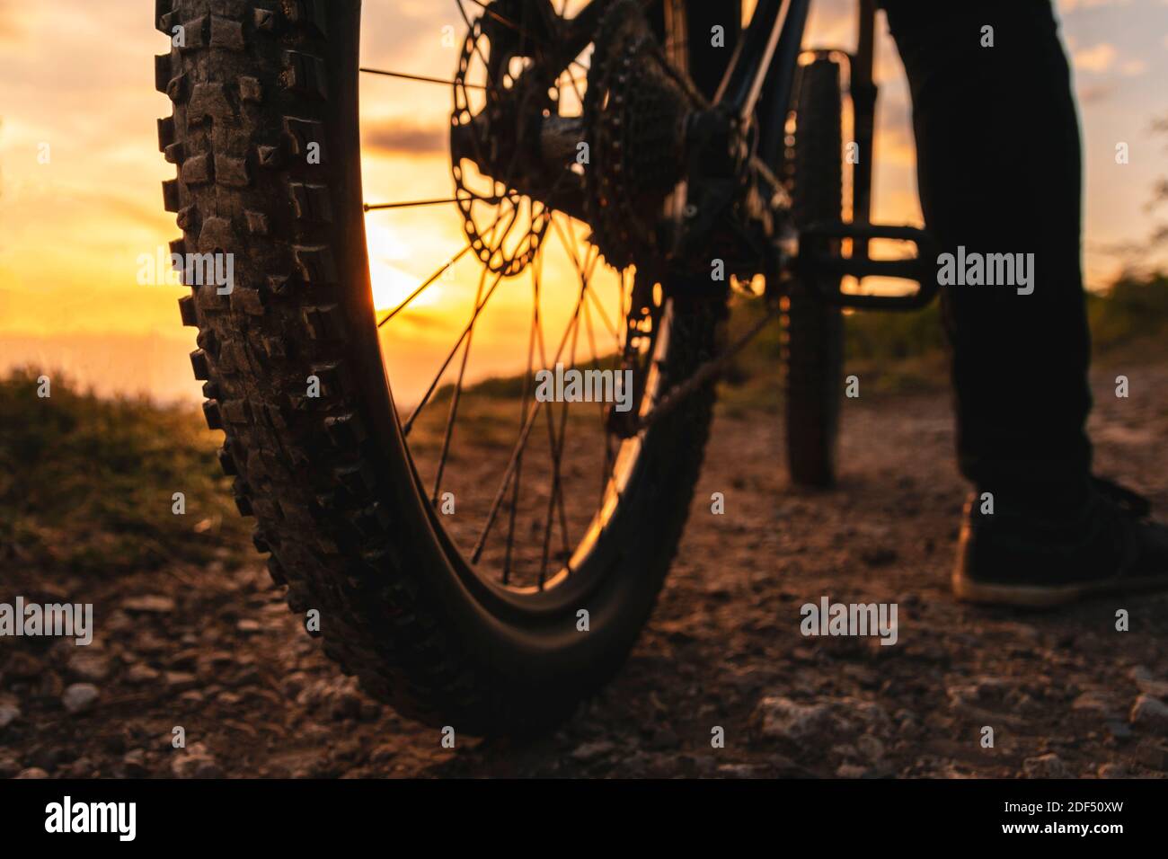 Mountainbike-Hinterrad Detail. Rückaufnahme des Mountainbikes bei Sonnenuntergang. Stockfoto