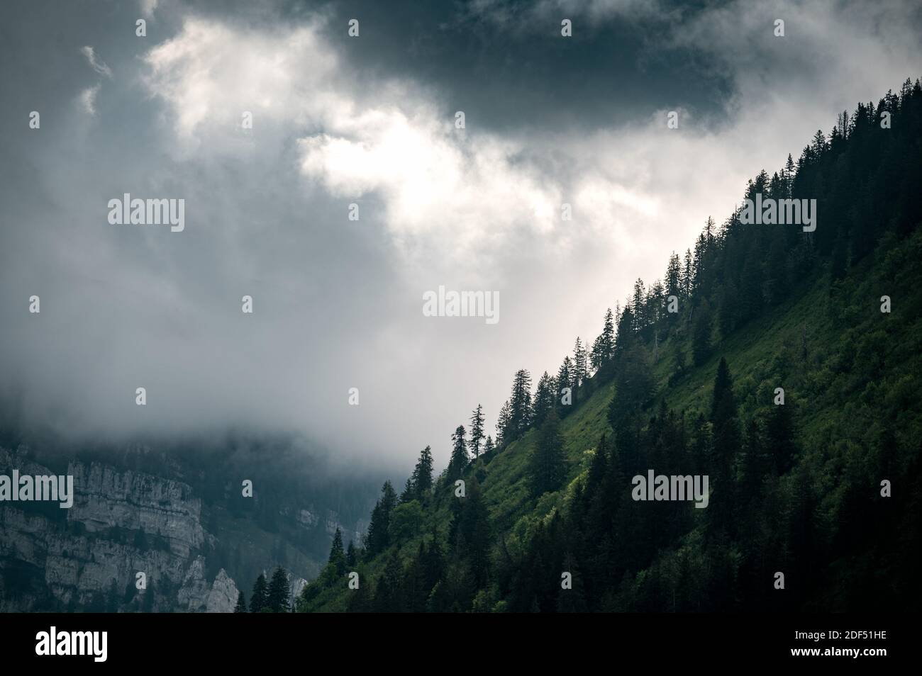 Regenwolken erzeugen spektakuläres Licht an einem steilen Waldhang Stockfoto