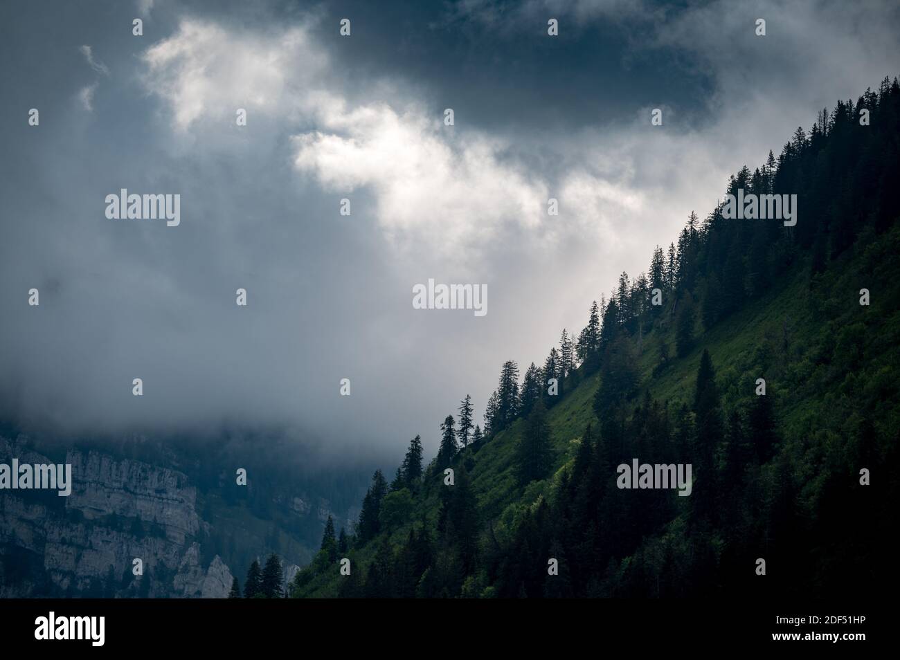 Regenwolken erzeugen spektakuläres Licht an einem steilen Waldhang Stockfoto