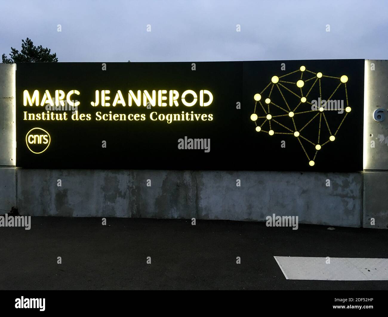 Marc Jeannerod Institut für kognitive Wissenschaften, CNRS, Bron, Frankreich Stockfoto