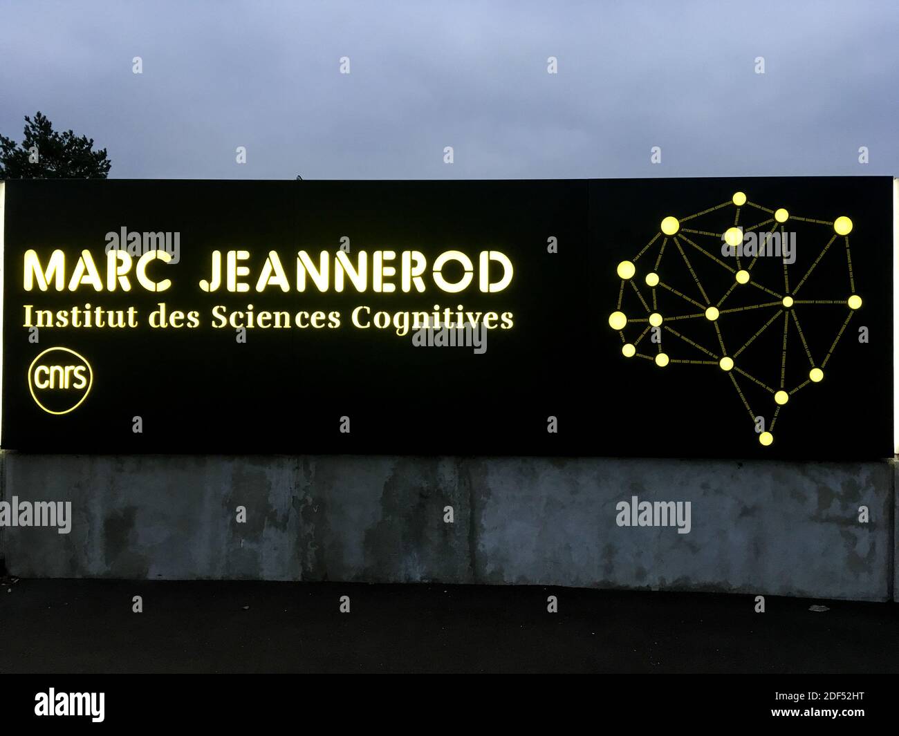 Marc Jeannerod Institut für kognitive Wissenschaften, CNRS, Bron, Frankreich Stockfoto