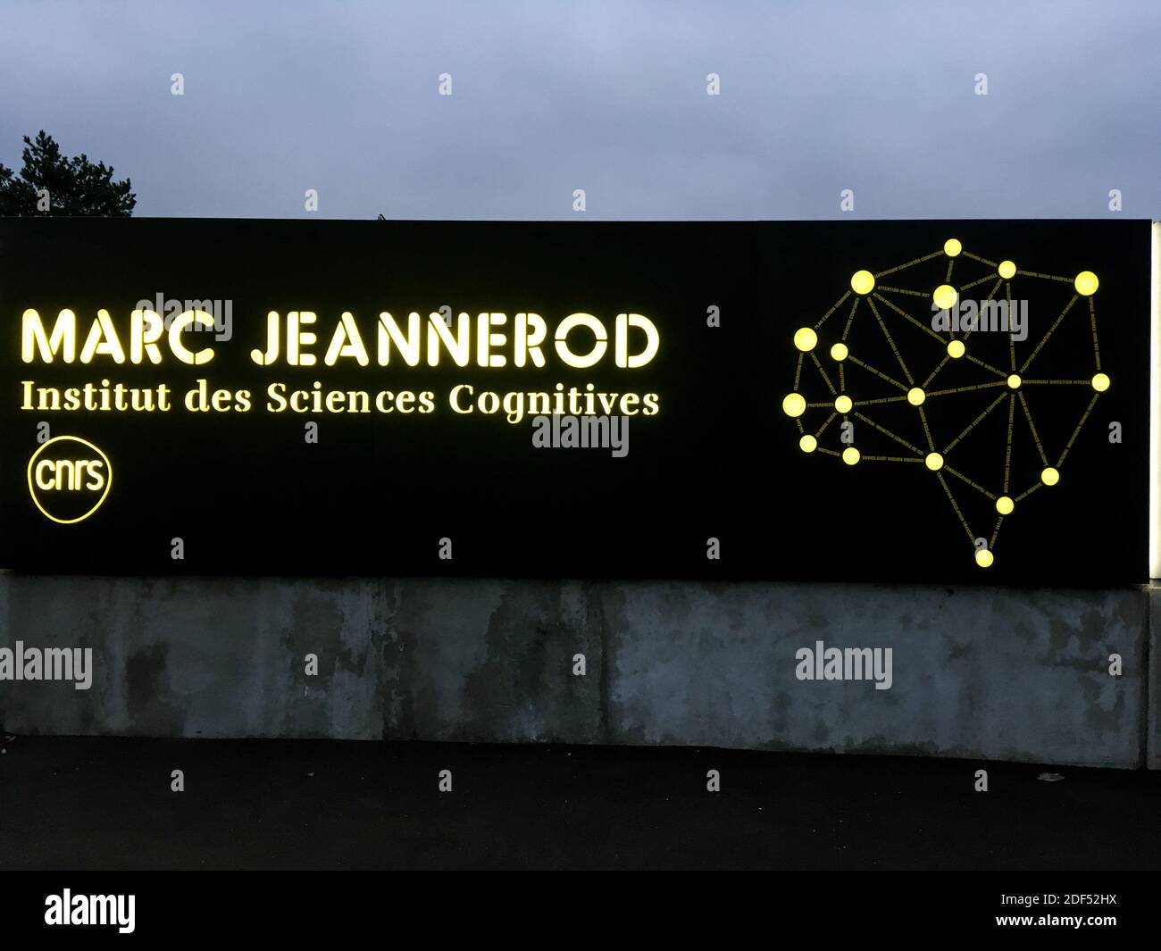 Marc Jeannerod Institut für kognitive Wissenschaften, CNRS, Bron, Frankreich Stockfoto