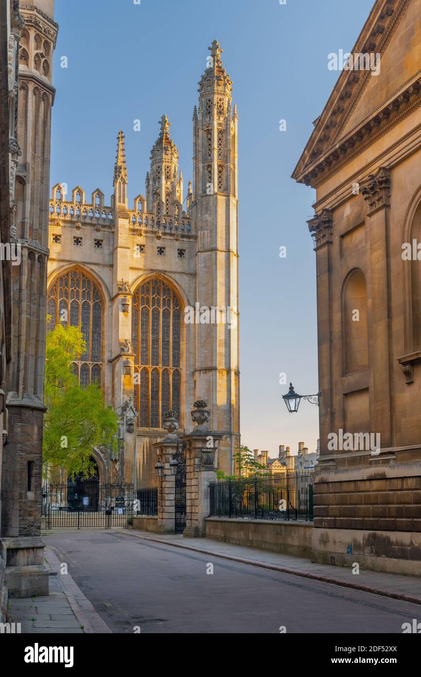 Großbritannien, England, Cambridgeshire, Cambridge, Trinity Lane, King's College Chapel und Clare College, die alten Schulen auf der linken Seite Stockfoto