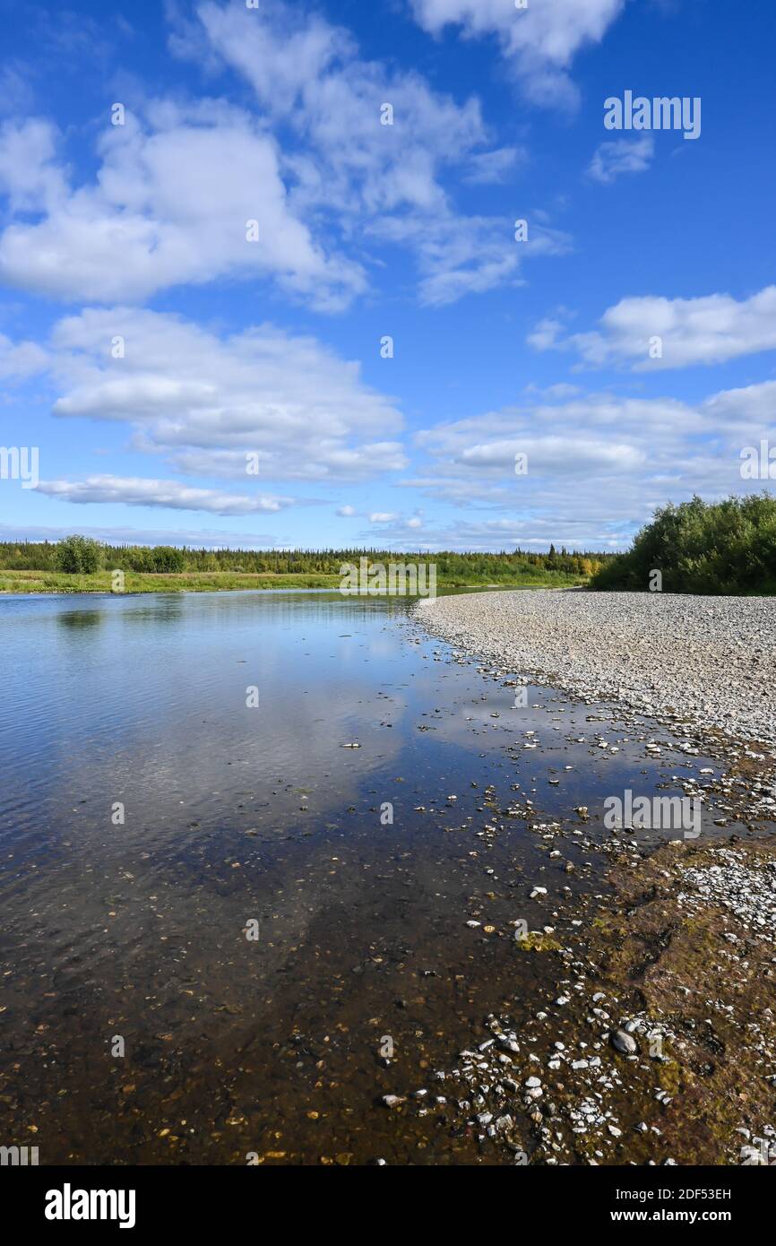 Fluss in der nördlichen Taiga. Sommer Wasserlandschaft in der Republik Komi, Russland. Stockfoto