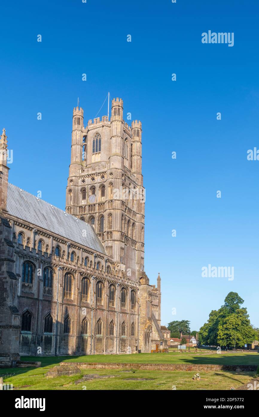 Großbritannien, England, Cambridgeshire, Ely, Ely Cathedral vom Grave Yard Stockfoto