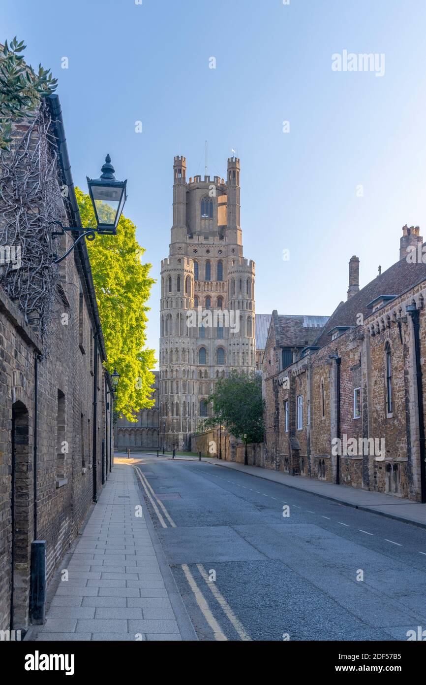 Großbritannien, England, Cambridgeshire, Ely, The Gallery, Ely Cathedral Stockfoto
