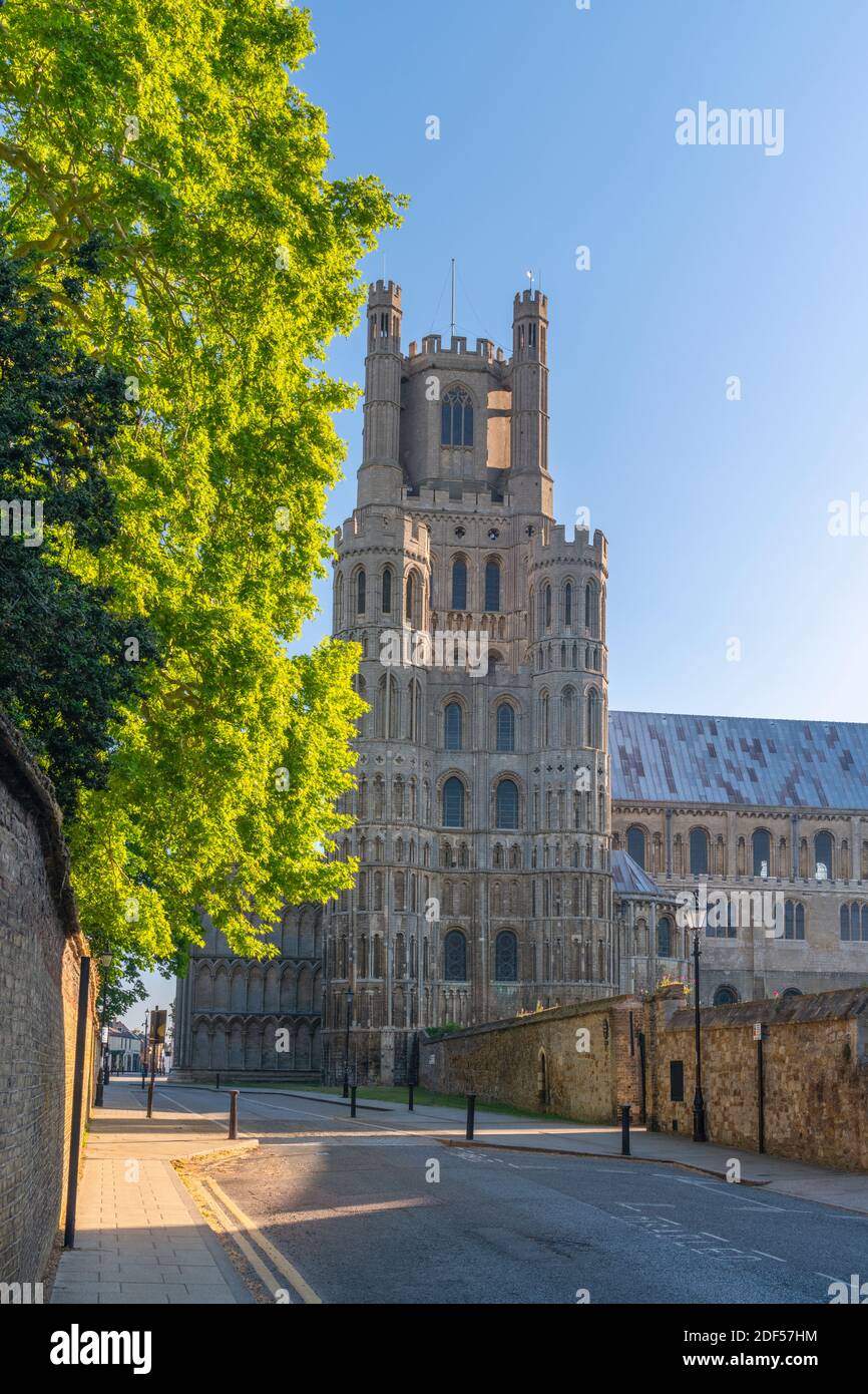 Großbritannien, England, Cambridgeshire, Ely, The Gallery, Ely Cathedral Stockfoto