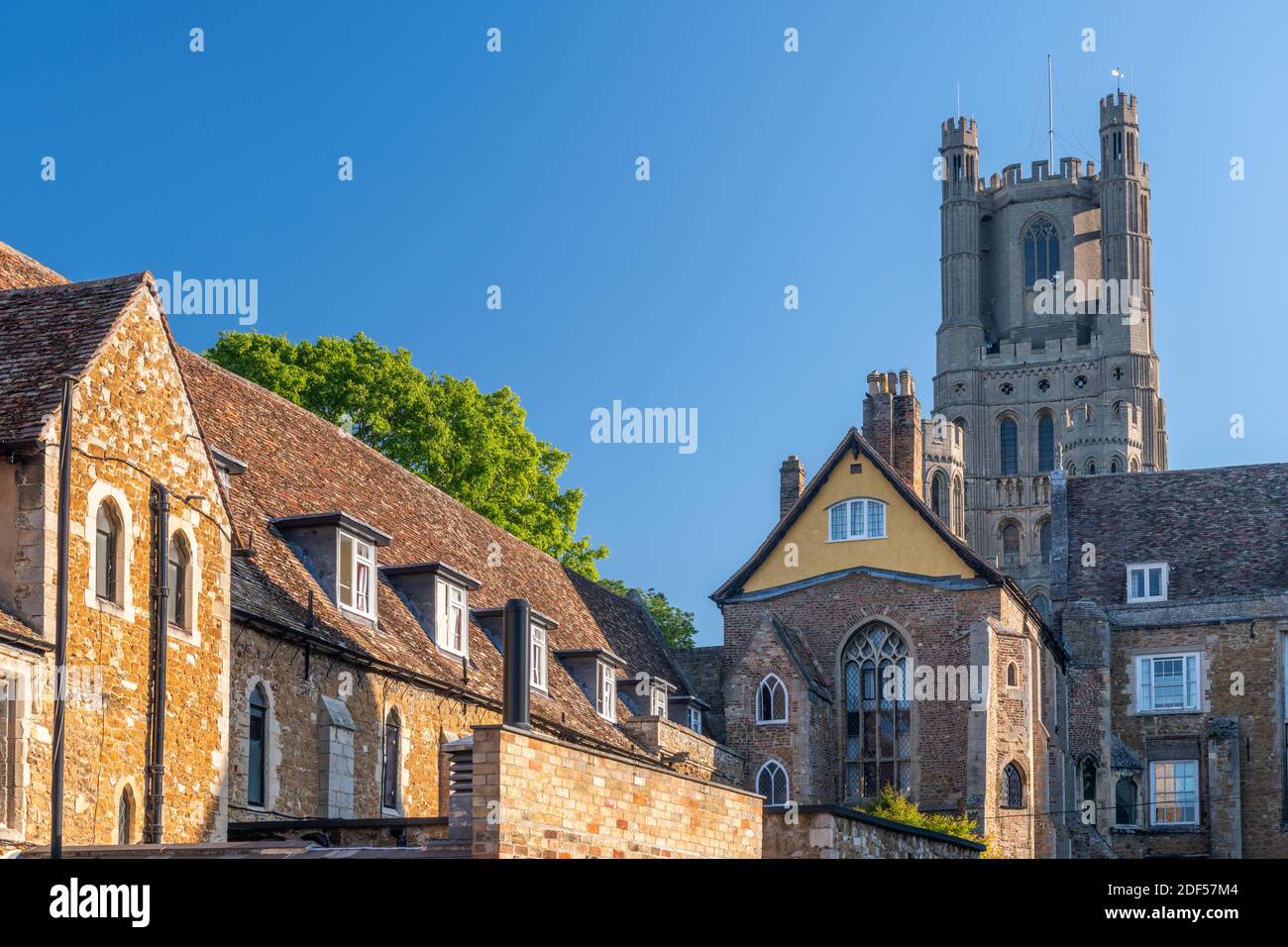 Großbritannien, England, Cambridgeshire, Ely, Ely Cathedral Stockfoto
