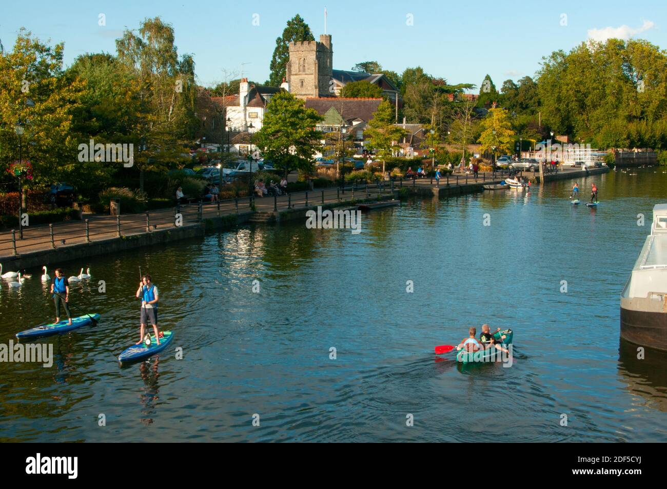 Flussleben Twickenham Riverside Stockfoto