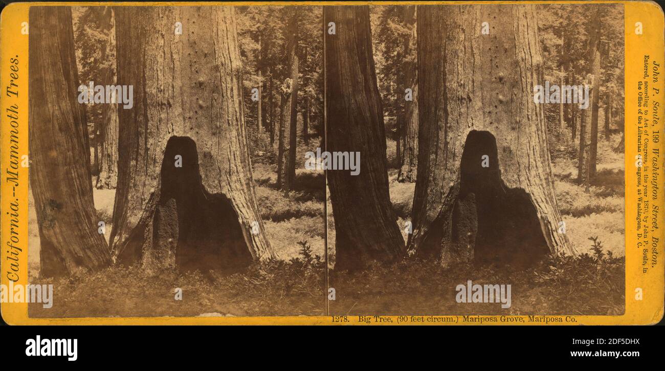 Pferderitt durch Big Tree (90 ft. Circum) Mariposa Co., Standbild, Stereografien, 1870, Soule, John P. (1827-1904 Stockfoto Pferderitt durch Big Tree (90 ft. Circum) Mariposa Co., Standbild, Stereografien, 1870, Soule, John P. (1827-1904 Stockfoto