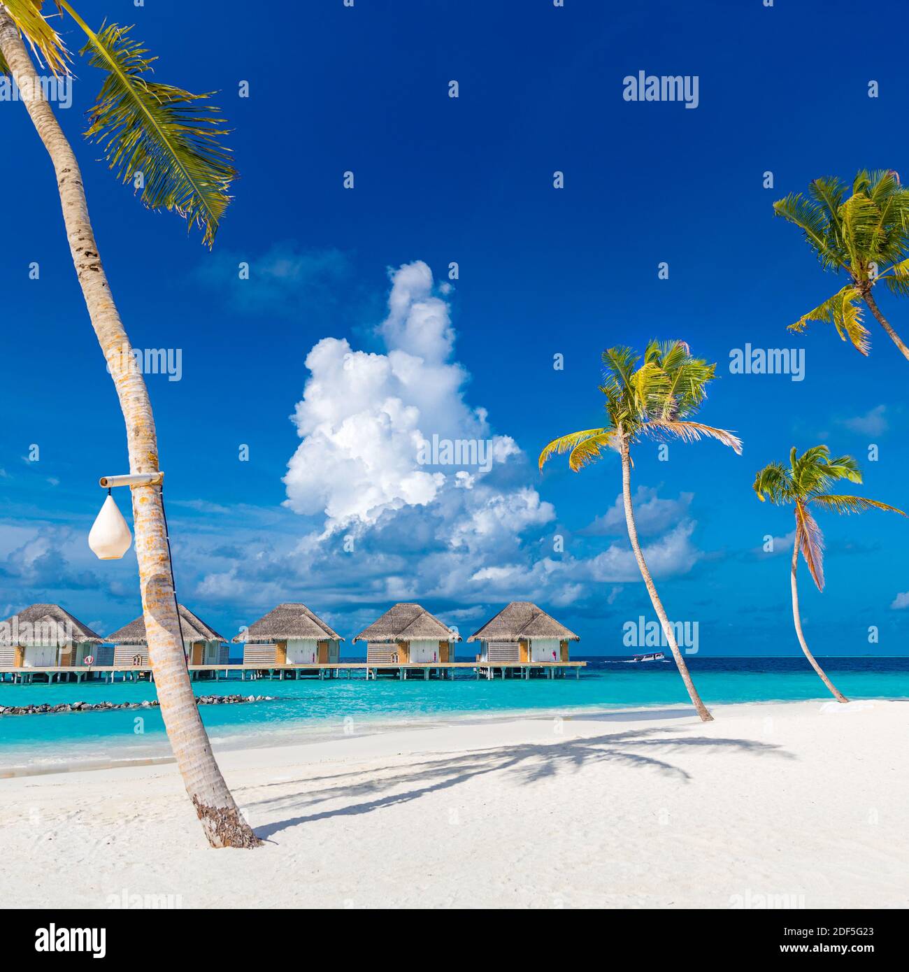 Perfekter Inselstrand mit Wasservillen, Luxusbungalows unter Palmen, in der Nähe des blauen Meeres. Unglaubliches Reiseziel, entspannte Strandresortlandschaft Stockfoto