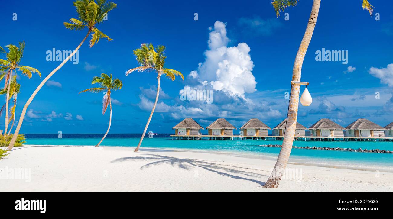 Perfekter Inselstrand mit Wasservillen, Luxusbungalows unter Palmen, in der Nähe des blauen Meeres. Unglaubliches Reiseziel, entspannte Strandresortlandschaft Stockfoto