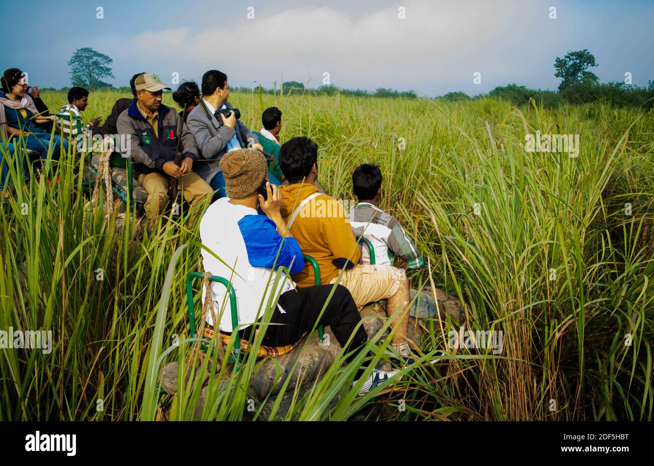 Kaziranga, Assam, Indien auf 14 Nov 2014 - Touristen genießen Elefanten-Safari in den üppigen grünen Wäldern des Kaziranga National Park, Assam, Nordosten, Ind Stockfoto