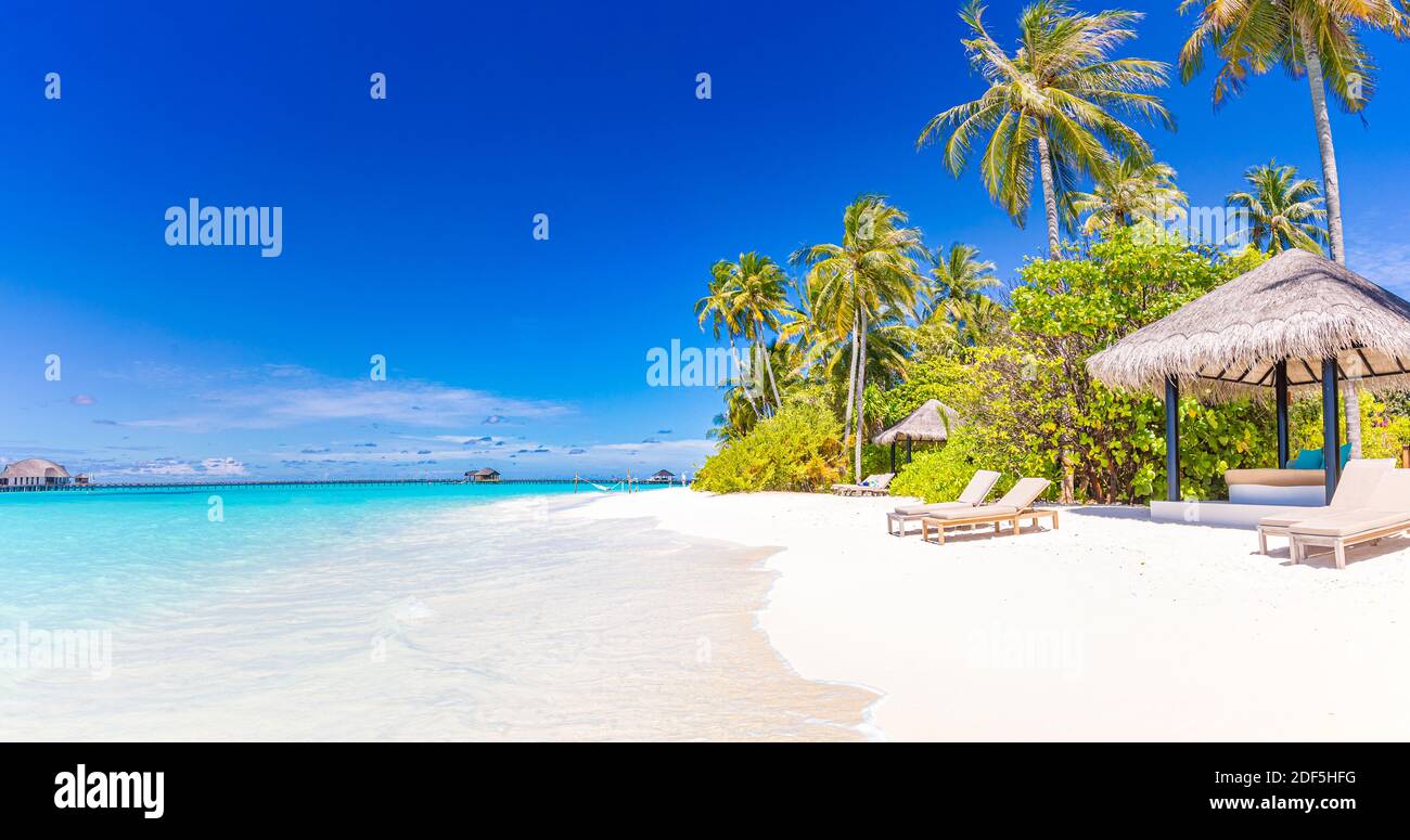 Erstaunlicher Naturstrand mit Palmen und launischen Himmel. Sommerurlaub Reise Urlaub Hintergrund Konzept. Malediven paradiesischer Strand. Luxusreisen im Sommer Stockfoto
