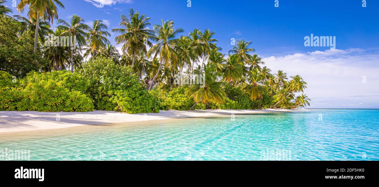 Erstaunlicher Naturstrand mit Palmen und launischen Himmel. Sommerurlaub Reise Urlaub Hintergrund Konzept. Malediven paradiesischer Strand. Luxusreisen im Sommer Stockfoto