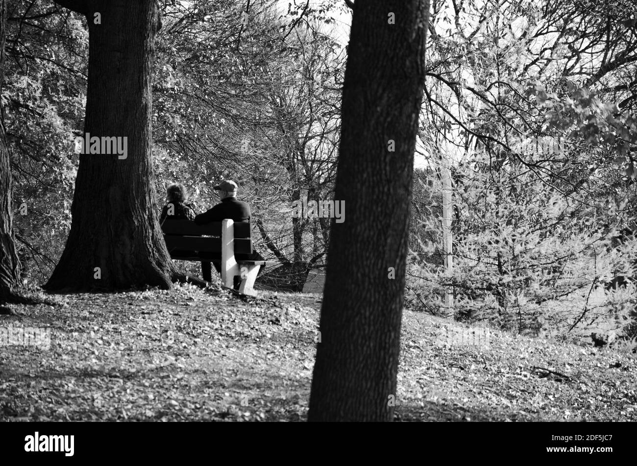 Altes verliebtes Paar auf einer Bank im Wald Stockfoto