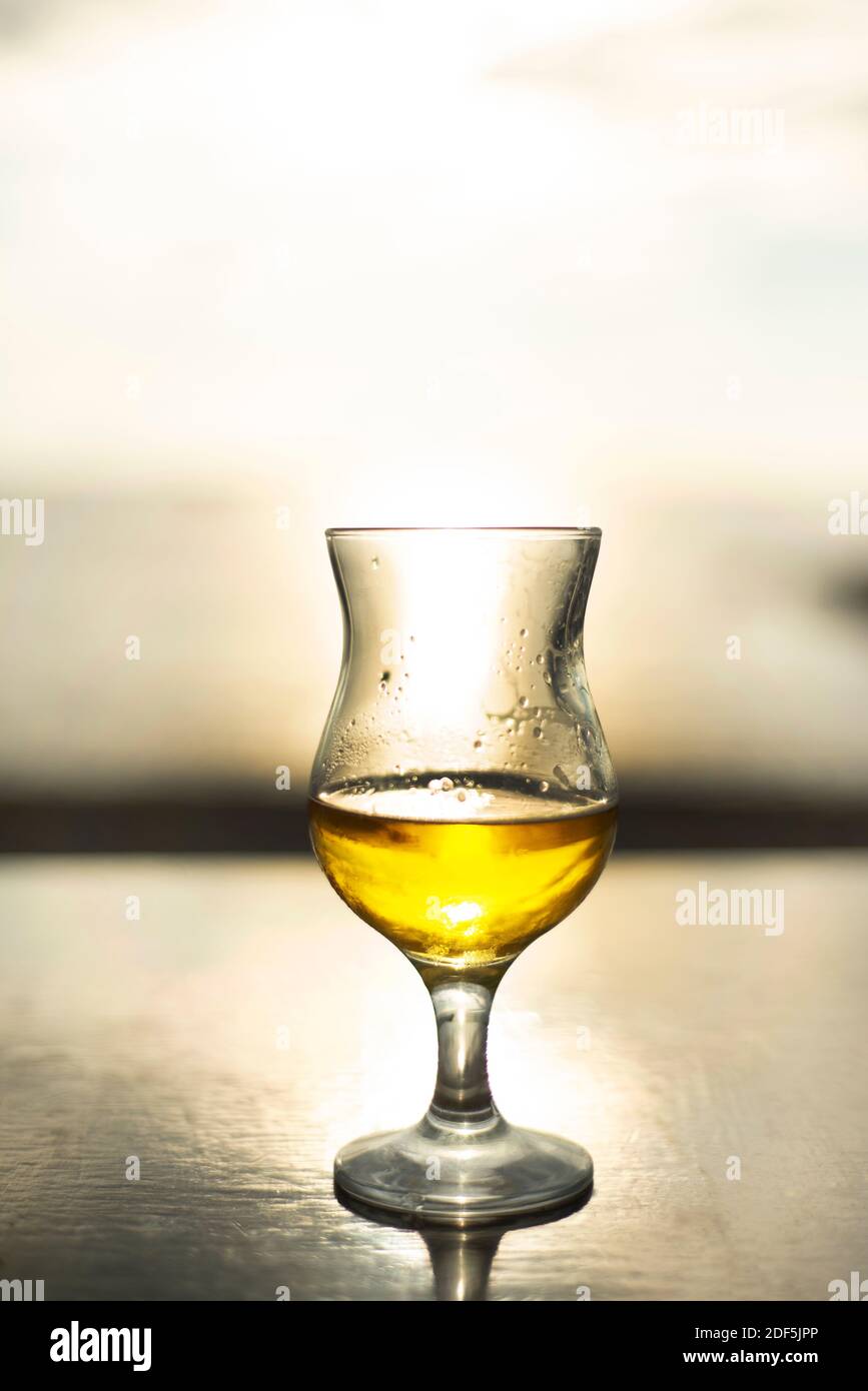 Ein Glas mit Stielglas und Bier bei Sonnenuntergang. Glanz. Bernsteinfarbenes Getränk. Stockfoto