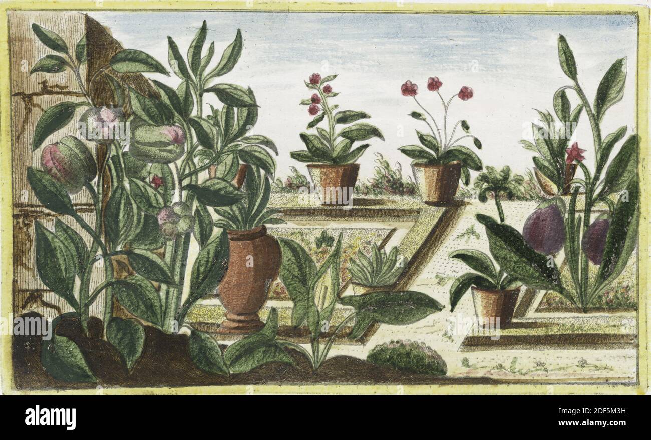 Hortus Romanus juxta Systems Tournefortianum paulo [gr. Titelseite, V. 2], Standbild, 1772 - 1793, Bonelli, Giorgio (geb. 1724), Martelli, Niccoló (1735-1829 Stockfoto