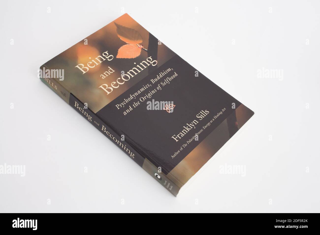 Das Buch, sein und Werden von Franklyn Sills Stockfoto