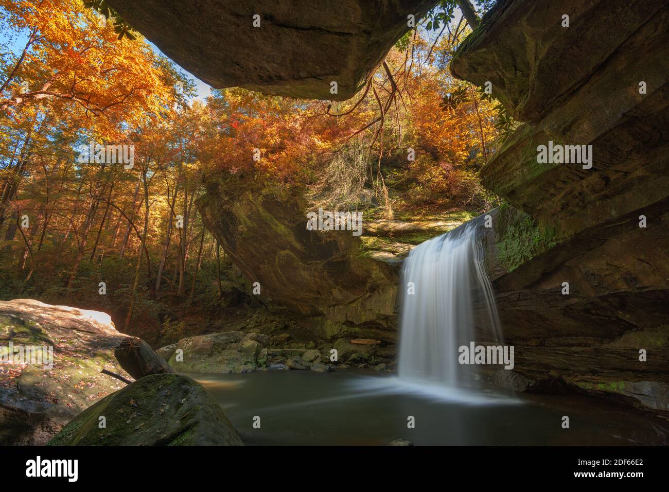 Dog Slaughter Falls im Daniel Boone National Forest, Kentucky, USA. Stockfoto