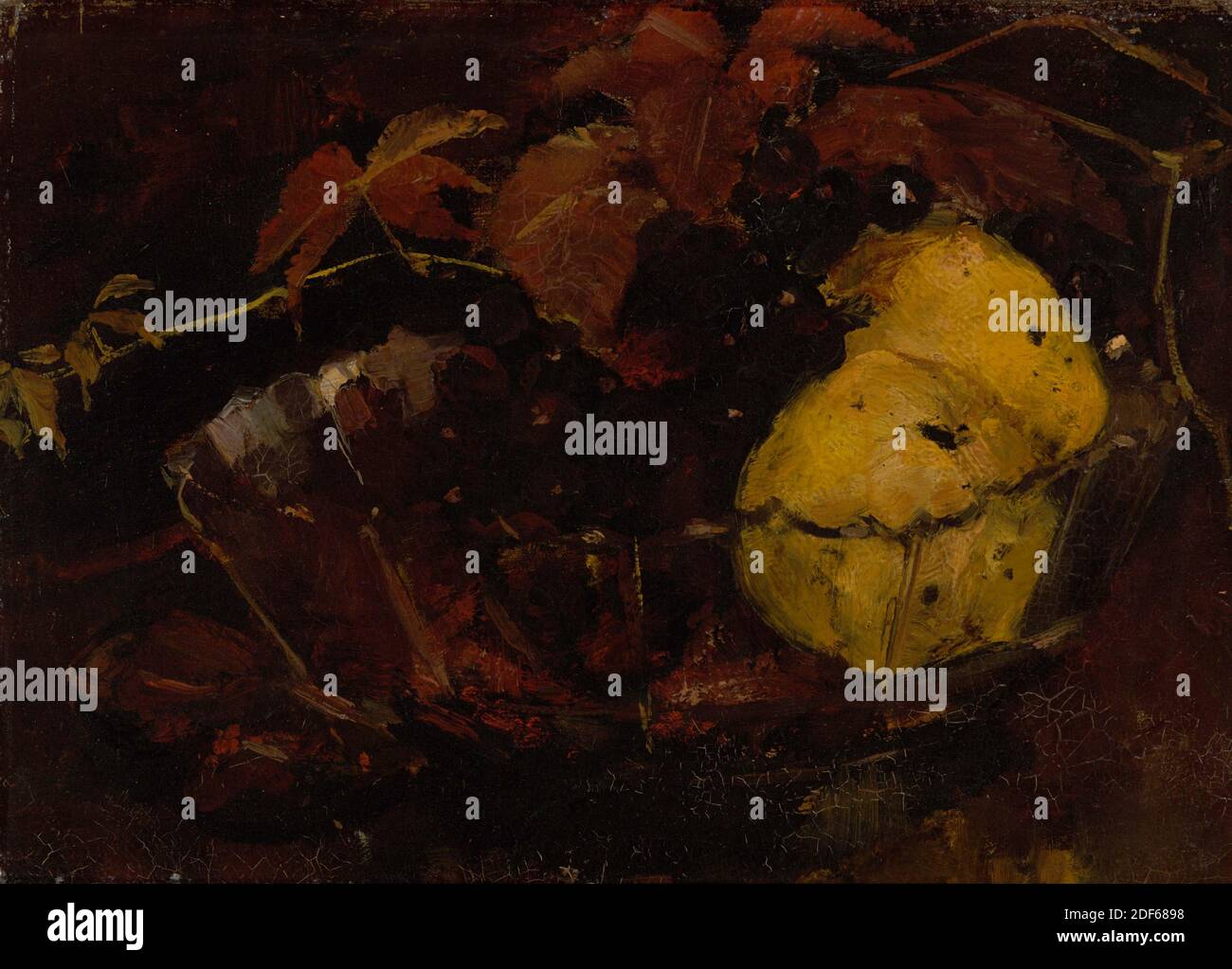 Gemälde, Menso Kamerlingh Onnes, letztes Viertel 19. Oder erstes Viertel 20. Jahrhundert, Leinwand, Ölfarbe, bemalt, Träger: 33.2 × 46 × 2cm (332 × 460 × 20mm), mit Rahmen: 64 × 76, 5 × 8cm (640 × 765 × 80mm), Frucht, Stillleben, Stillleben mit Früchten. In einer Glasschale sind ein Bündel blauer Trauben, zwei Quitten und rote Weinblätter. Nicht signiert. Das Gemälde ist in einem vergoldeten Holzrahmen, 1956 Stockfoto