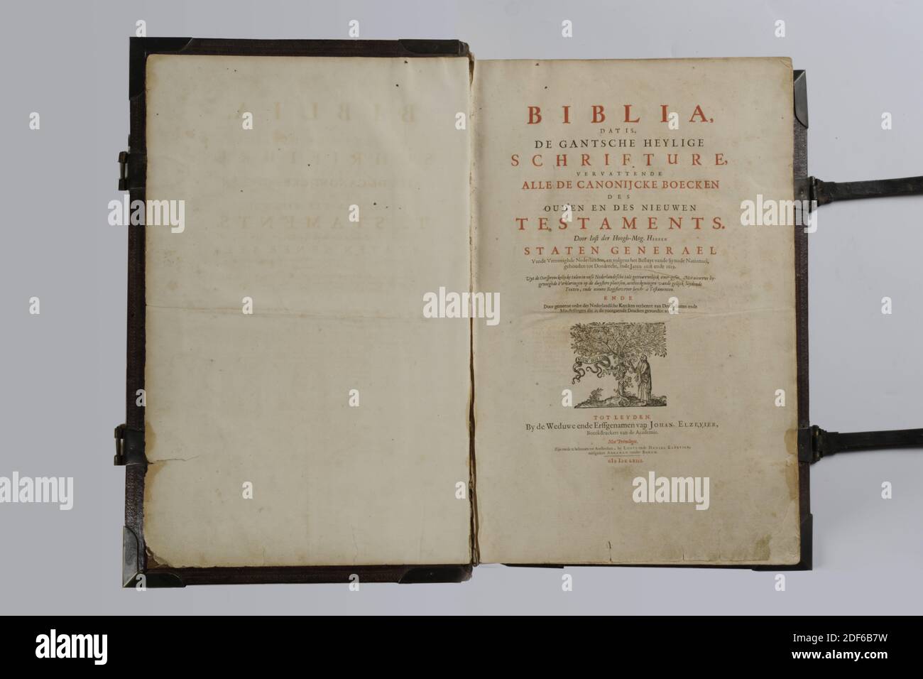 Buch, 1663, Leder, Papier, Messing, geschlossen: 53.4 x 34.7 x 16cm 534 x 347 x 160mm, Trauben, biblische Darstellung, Gebäude, Stadtbild, Mann, Baum, Folio States Bible von 1663 herausgegeben von der Witwe und den Erben Johans. Elzevier, Leiden, in einem roten marokkanischen Leder, reich vergoldet Magnus Lederarmband mit Messingecken und Schlössern. Auf der Titelseite ist der Text BIBLIA das heißt, DE GANTSCHE HEYLIGE SCHRIFTURE enthält ALLE CANONIJCKE BOECKEN des ALTEN UND NEUEN TESTAMENTS. Von Last der Hoogh-Mog. Heeren STATEN GENERAEL der Vereinigten Niederlande und gemäß dem Dekret der Stockfoto