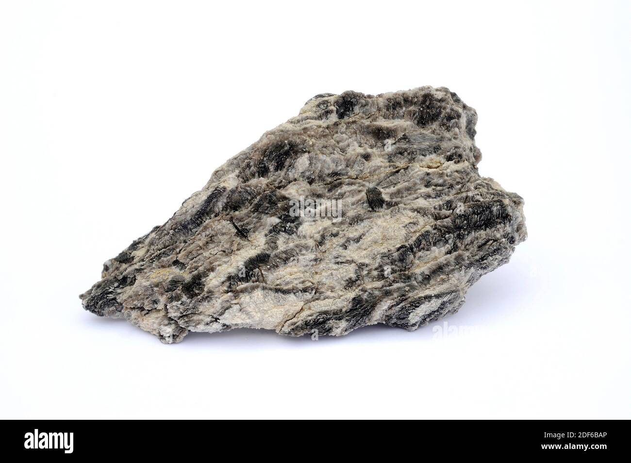 Gips ist ein Mineral, das aus Calciumsulfat-Dihydrat besteht. Diese Probe stammt aus Villel, Teruel, Aragon, Spanien. Stockfoto