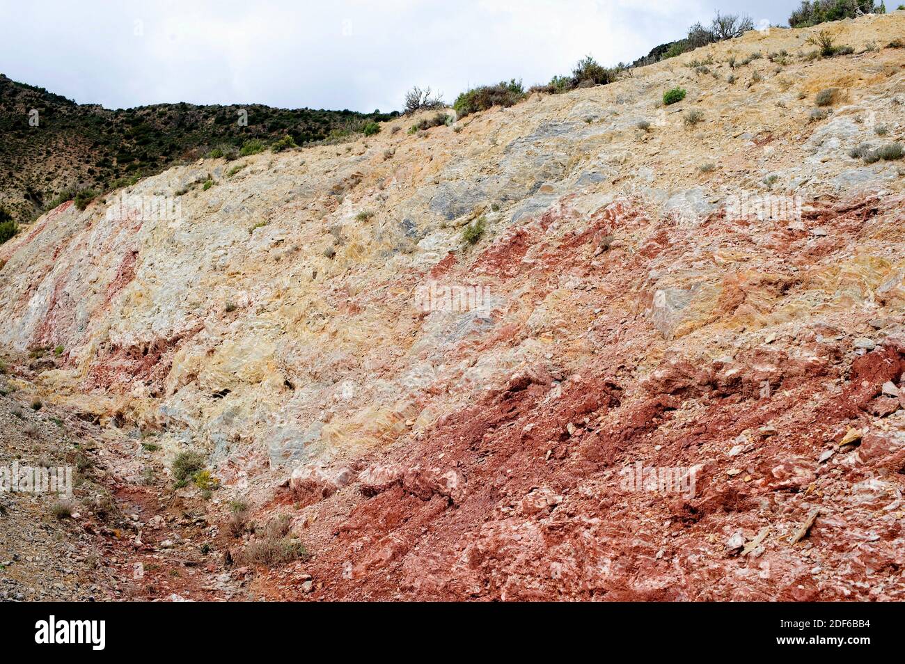 Gipsvorkommen und Gipsbepflanzung in Villel, Teruel, Aragon, Spanien. Stockfoto