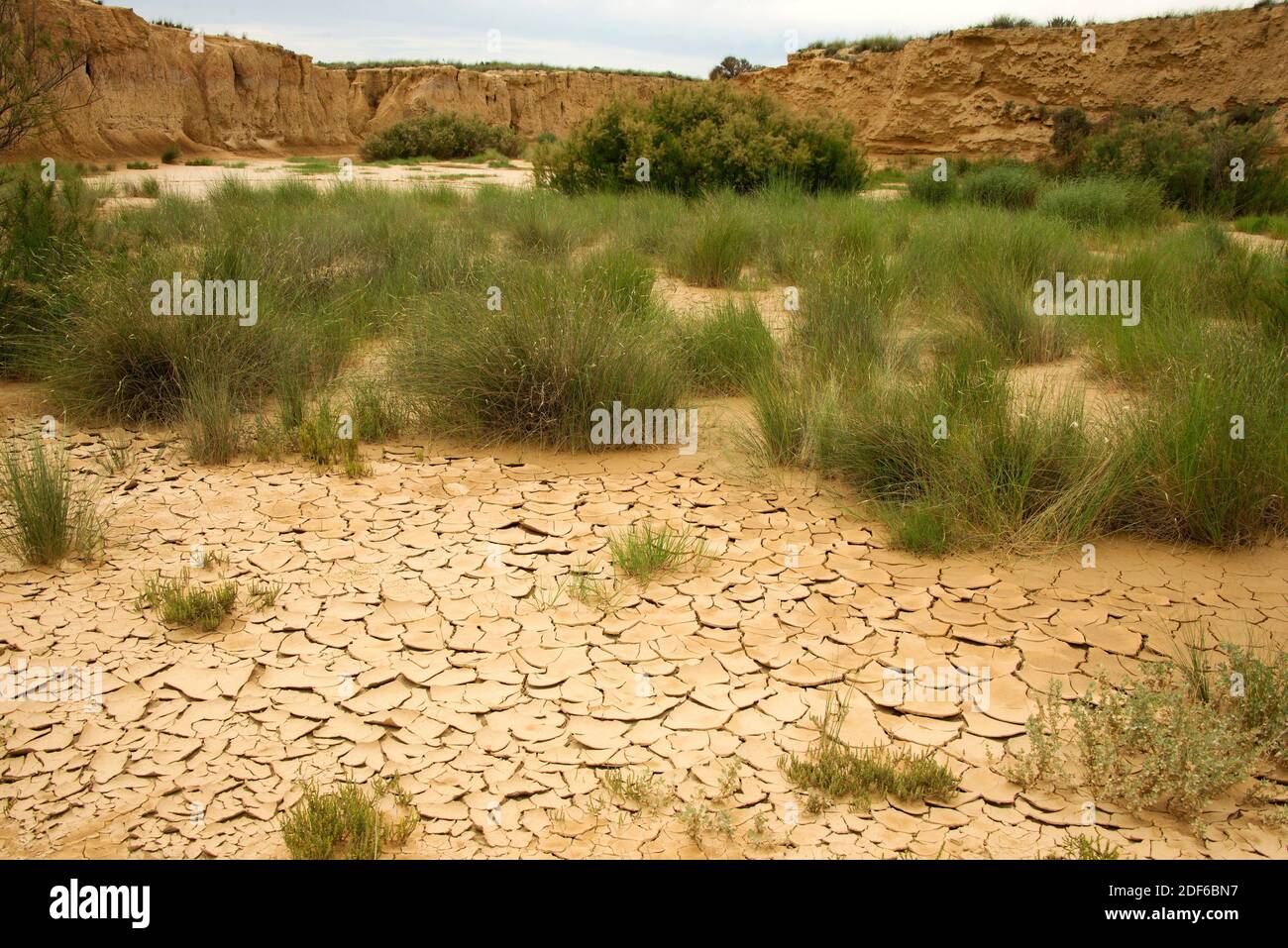 Wadi oder rambla ist ein intermittierender Strom, der charakteristisch für arides Klima ist. Dieses Foto wurde in Bardenas Reales, Navarra, Spanien aufgenommen. Stockfoto