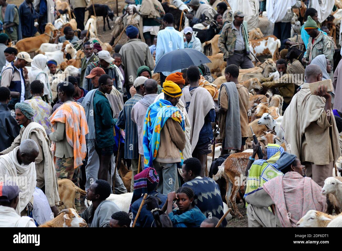 Lalibela Markt. Amhara Region, Nord-Äthiopien. Stockfoto