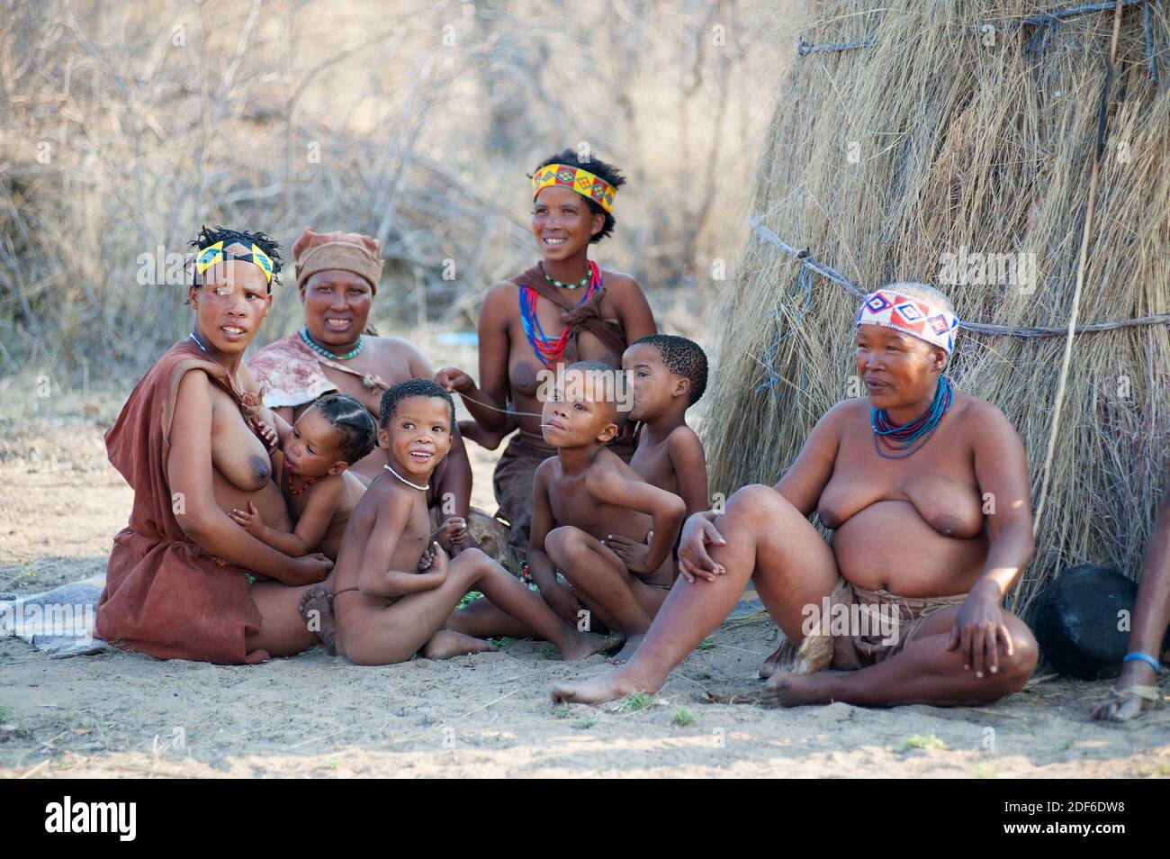 Gruppe von Buschmännern oder san in ihrem Dorf. Tsumkwe, Otjozondjupa, Kalahari, Namibia. Stockfoto