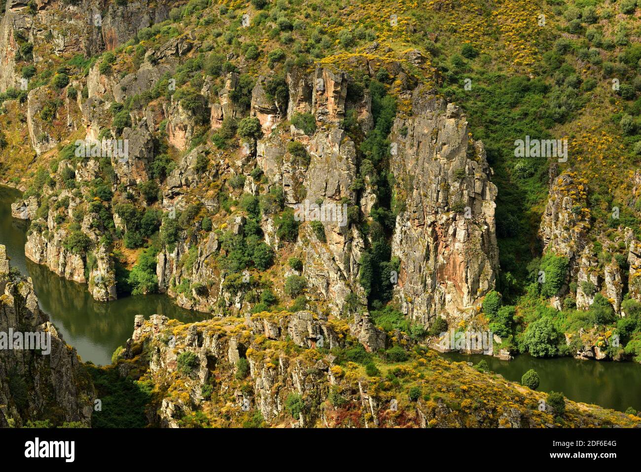 Duero Canyon. Mirador de las Barrancas, Fariza, Parque Natural de los Arribes del Duero, Sayago, Provinz Zamora, Castilla-Leon, Spanien. Stockfoto