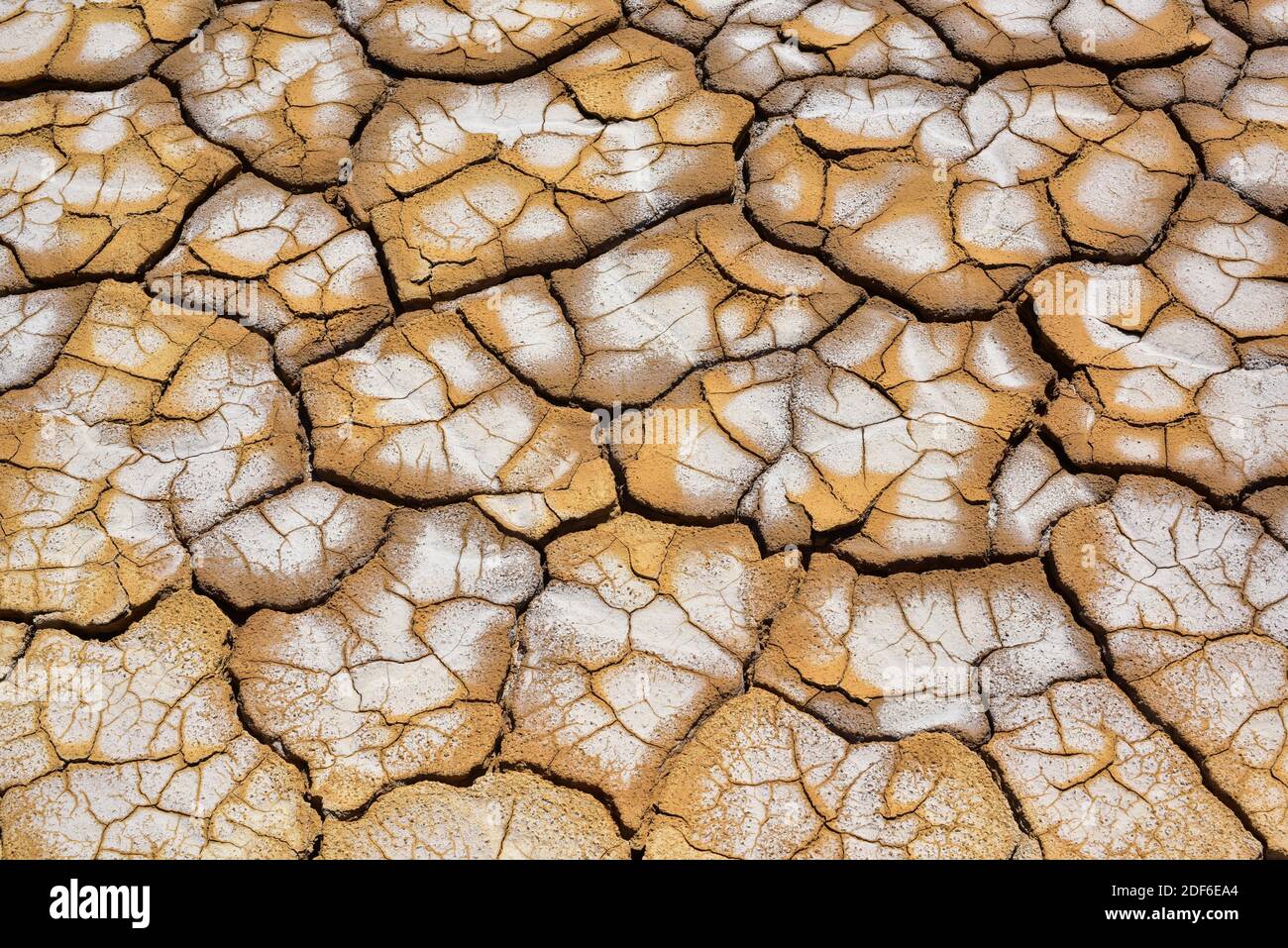 Trocknen von Rissen mit Salz im Biosphärenreservat Bardenas Reales. Navarra, Spanien. Stockfoto