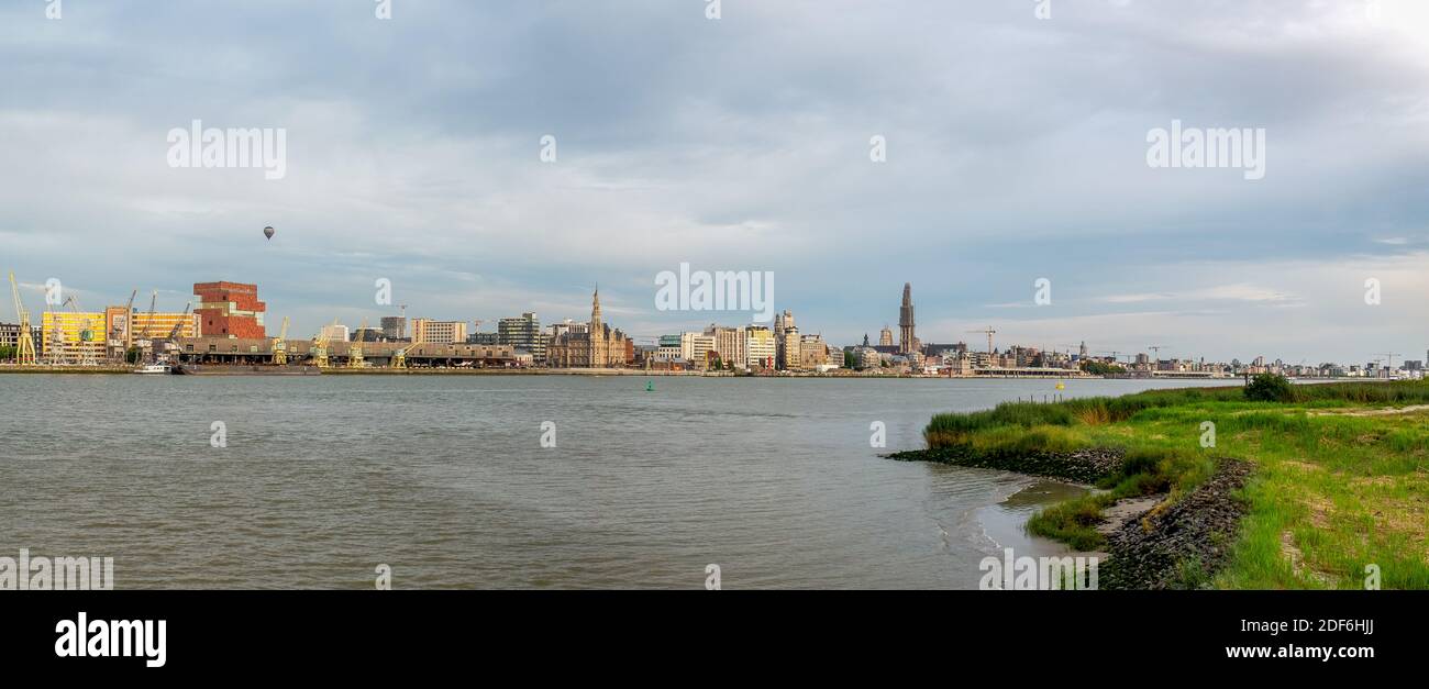 Skyline von Antwerpen auf der anderen Seite der Schelde. Stockfoto
