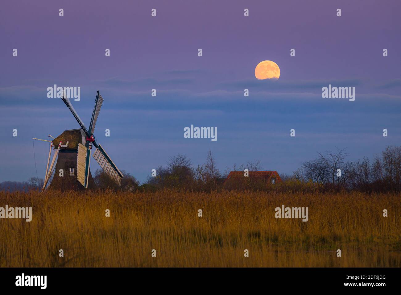 Sonnenuntergang und Vollmondaufgang bei der Noordermolen (Nordmühle), in Noorddijk in der Provinz Groningen, Niederlande Stockfoto
