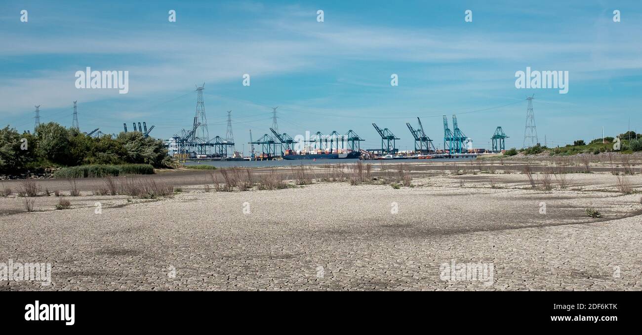 Trockener Schlamm im Naturschutzgebiet Potpolder (südlich des Dorfes Lillo) mit Hafen von Antwerpen Kränen im Hintergrund. Stockfoto