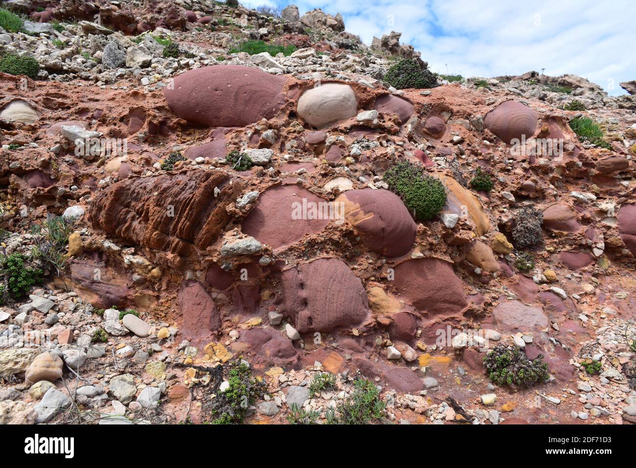 Miozän-Konglomerat mit Sandsteinkieseln. Dieses Foto wurde in Cala Morell, Menorca, Balearen, Spanien aufgenommen. Stockfoto