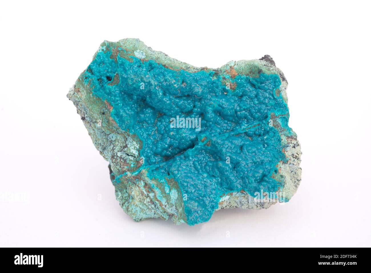 Chrysocolla ist ein Kupfer-Silikat-Mineral. Stockfoto