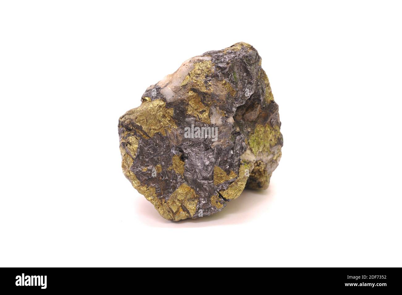 Galena (grau) und Chalkopyrit (golden). Galena ist ein Bleisulfidmineral. Chalkopyrit ist ein Kupfer-Eisen-Sulfid-Mineral. Stockfoto