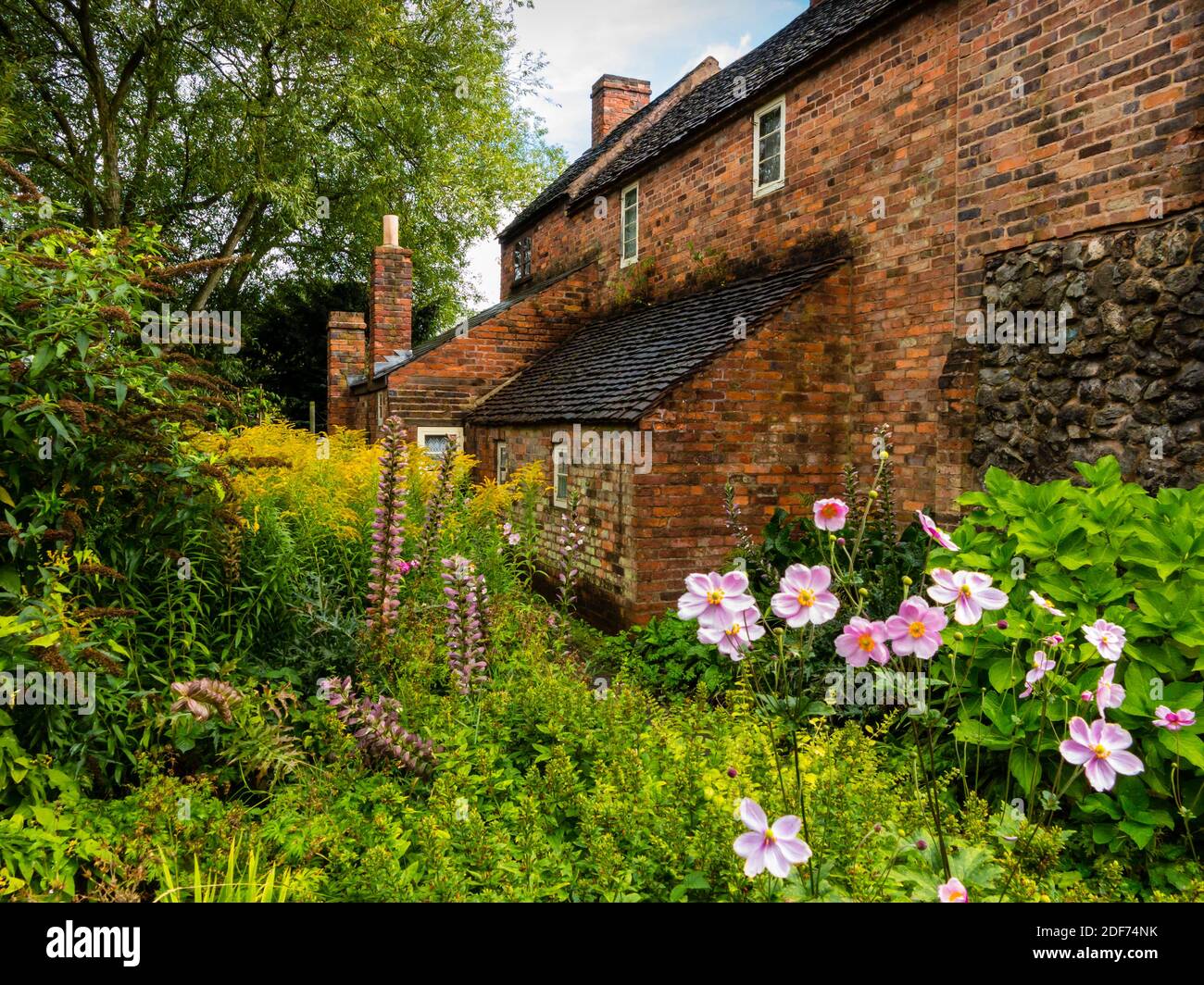 Blumen, die in einem Hüttengarten im Schwarzen Land wachsen Lebendes Museum in Dudley West Midlands England Stockfoto