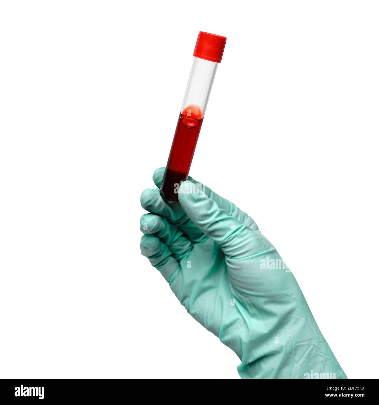 Hand in Latexhandschuh, der die Blutprobe im Reagenzglas hält Nahaufnahme isoliert auf weißem Hintergrund Stockfoto