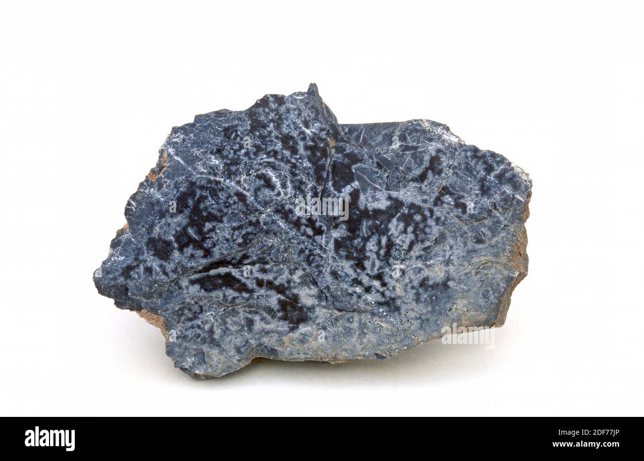 Kalkstein ist ein Sedimentgestein, das hauptsächlich aus Calciumcarbonat besteht. Probe. Stockfoto