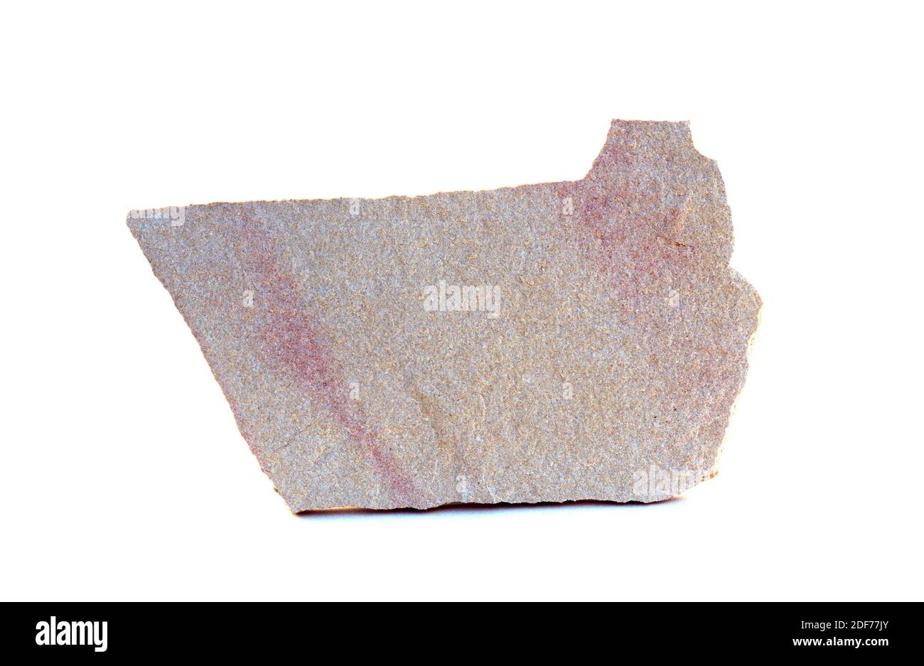 Kalkstein ist ein Sedimentgestein, das hauptsächlich aus Calciumcarbonat besteht. Probe. Stockfoto