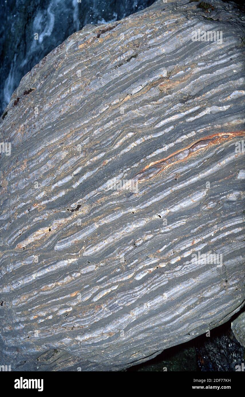 Boudinage. Boudinage ist ein geologischer tektonischer Begriff, der verwendet wird, um sausage stringartige Texturen zu beschreiben. Stockfoto